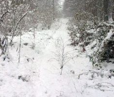 20151124_krndija_velimir_rupcic_008