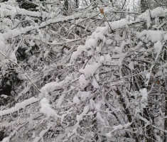 20151124_krndija_velimir_rupcic_010