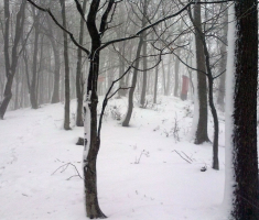 20151124_krndija_velimir_rupcic_018