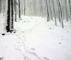 20151124_krndija_velimir_rupcic_019