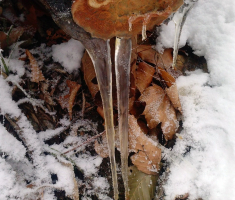 20151124_krndija_velimir_rupcic_021