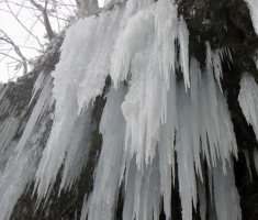 20161224_papuk_009