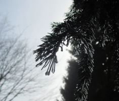 20161224_papuk_024