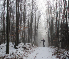 20161224_papuk_025