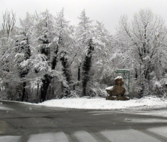 20150125_krndija_004