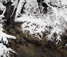 20150125_krndija_011