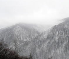 20150125_krndija_013