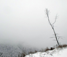 20150125_krndija_014