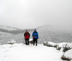 20150125_krndija_015