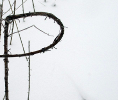 20150125_krndija_018