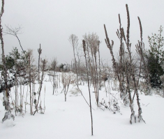 20150125_krndija_019