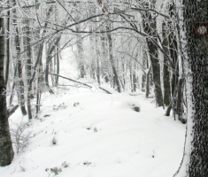 20150125_krndija_023