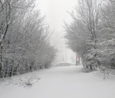 20150125_krndija_030