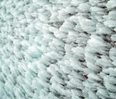 20150125_krndija_040