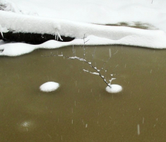 20150125_krndija_043