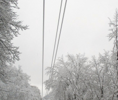 20150125_krndija_046