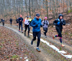 20260125_3kolo_DLS_01