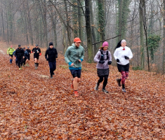 20260125_3kolo_DLS_02