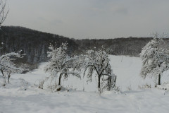 25.02.2018. - Vodičice u akciji