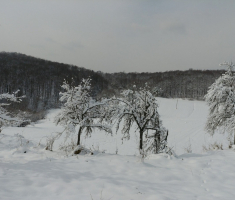 20180225_pozeska_gora_120