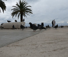 20240225_split_maraton_42km_048
