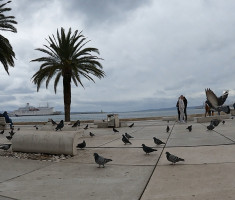 20240225_split_maraton_42km_049