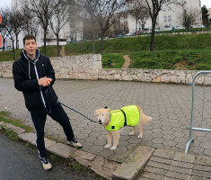 20240225_split_maraton_42km_146