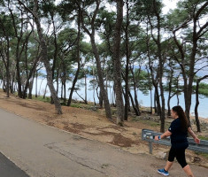 20240225_split_maraton_42km_235