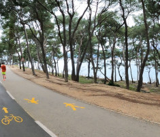 20240225_split_maraton_42km_236