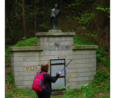 Ruža