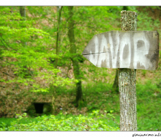 Izvor