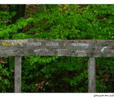 NGS10