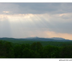 Pogled