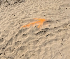 20260425_jugovaca_trail_060