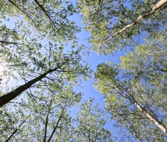 20260425_jugovaca_trail_122