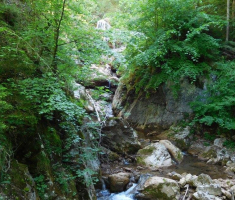 201707_austrija_014