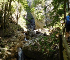 201707_austrija_025