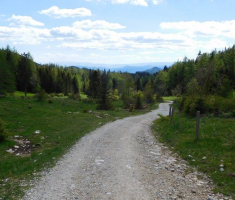 201707_austrija_051
