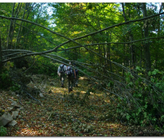 jankovac_00003