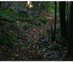 jankovac_00009