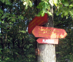 20160925_dilj_gora_007
