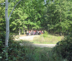 20160925_dilj_gora_024