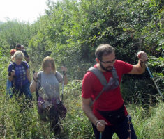 20160925_dilj_gora_035