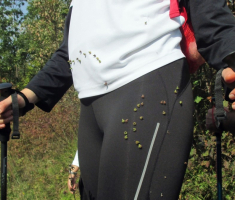 20160925_dilj_gora_042