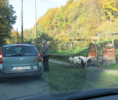 20151025_papuk_008