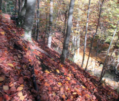 20151025_papuk_014