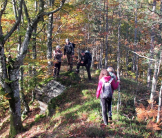 20151025_papuk_016