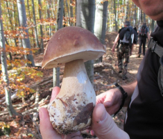 20151025_papuk_025