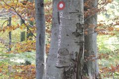 25.10.2015. - Velika, Trišnjica, Kanjiška glava [Ivan Lončarić]