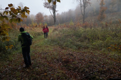 25.10.2020. - Ivanovi ponori
